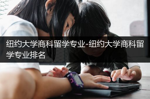 纽约大学商科留学专业-纽约大学商科留学专业排名