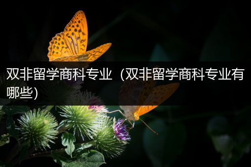 双非留学商科专业（双非留学商科专业有哪些）