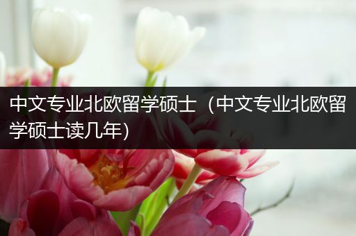 中文专业北欧留学硕士（中文专业北欧留学硕士读几年）