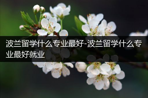 波兰留学什么专业最好-波兰留学什么专业最好就业