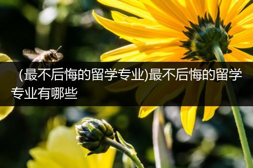 （最不后悔的留学专业)最不后悔的留学专业有哪些