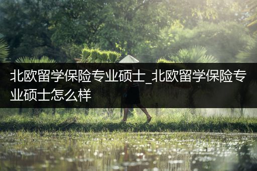 北欧留学保险专业硕士_北欧留学保险专业硕士怎么样