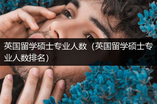 英国留学硕士专业人数（英国留学硕士专业人数排名）