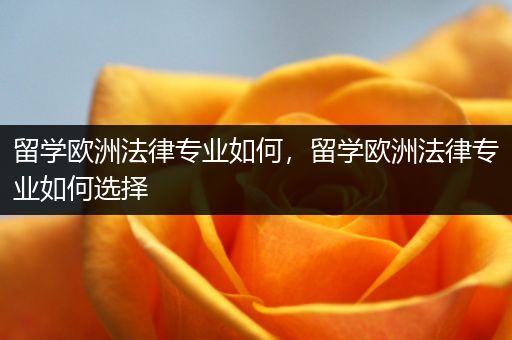 留学欧洲法律专业如何，留学欧洲法律专业如何选择