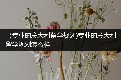 （专业的意大利留学规划)专业的意大利留学规划怎么样