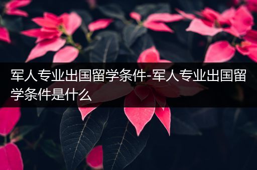 军人专业出国留学条件-军人专业出国留学条件是什么