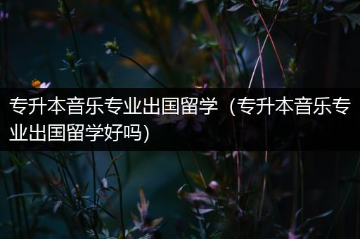 专升本音乐专业出国留学（专升本音乐专业出国留学好吗）