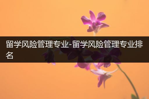 留学风险管理专业-留学风险管理专业排名