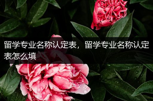 留学专业名称认定表，留学专业名称认定表怎么填