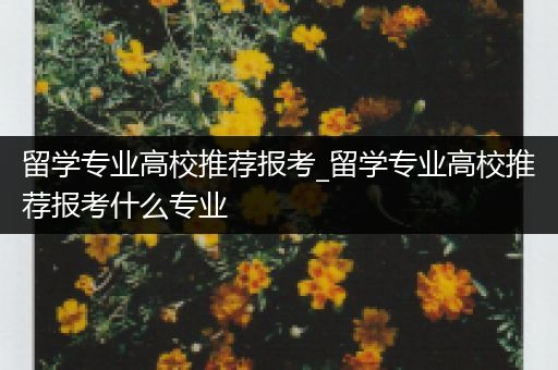 留学专业高校推荐报考_留学专业高校推荐报考什么专业