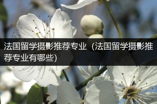 法国留学摄影推荐专业（法国留学摄影推荐专业有哪些）