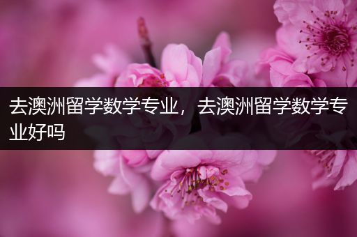 去澳洲留学数学专业，去澳洲留学数学专业好吗