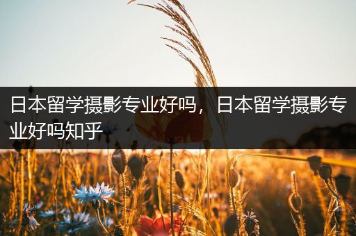 日本留学摄影专业好吗，日本留学摄影专业好吗知乎