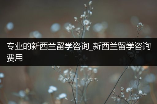 专业的新西兰留学咨询_新西兰留学咨询费用