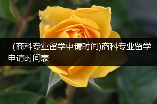 （商科专业留学申请时间)商科专业留学申请时间表