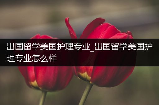 出国留学美国护理专业_出国留学美国护理专业怎么样