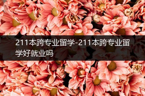 211本跨专业留学-211本跨专业留学好就业吗