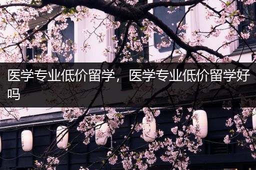 医学专业低价留学，医学专业低价留学好吗