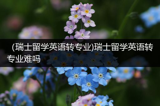 （瑞士留学英语转专业)瑞士留学英语转专业难吗