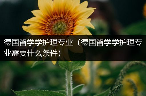 德国留学学护理专业（德国留学学护理专业需要什么条件）