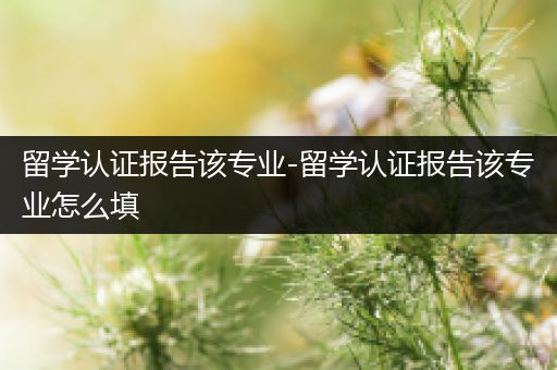 留学认证报告该专业-留学认证报告该专业怎么填