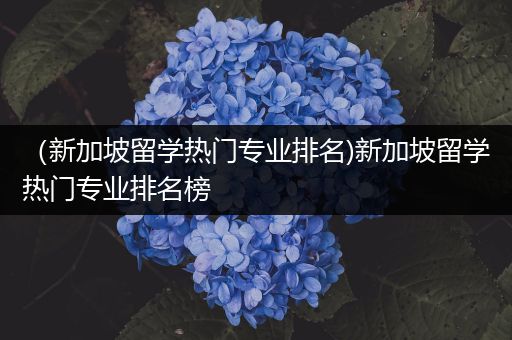 （新加坡留学热门专业排名)新加坡留学热门专业排名榜