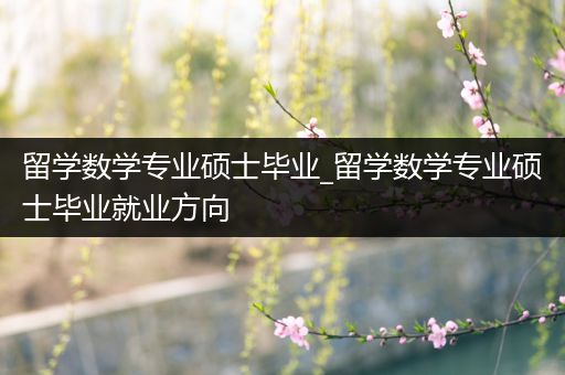 留学数学专业硕士毕业_留学数学专业硕士毕业就业方向