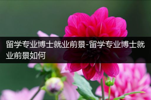 留学专业博士就业前景-留学专业博士就业前景如何