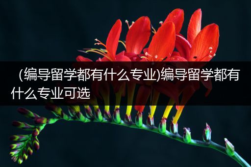 （编导留学都有什么专业)编导留学都有什么专业可选