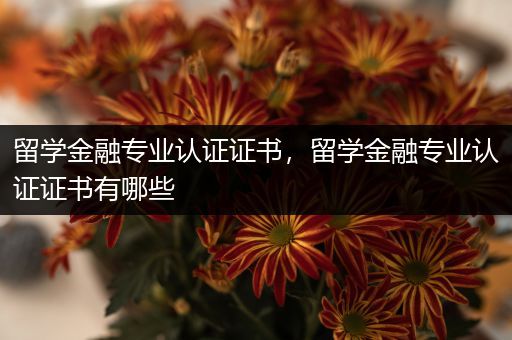 留学金融专业认证证书，留学金融专业认证证书有哪些