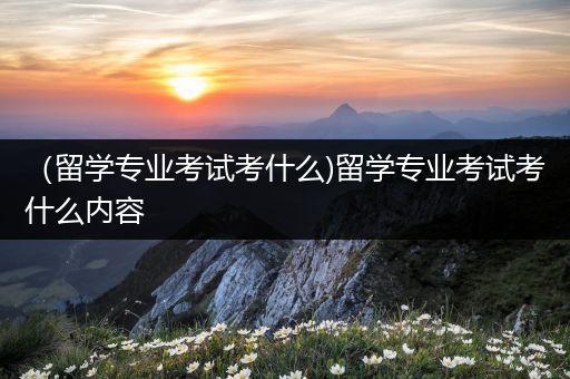 （留学专业考试考什么)留学专业考试考什么内容