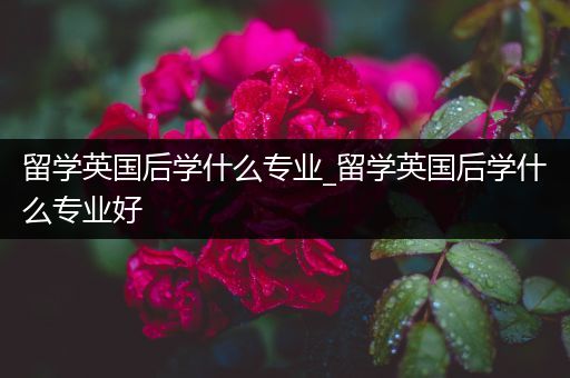 留学英国后学什么专业_留学英国后学什么专业好