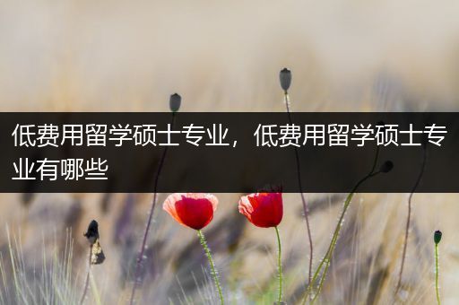 低费用留学硕士专业，低费用留学硕士专业有哪些