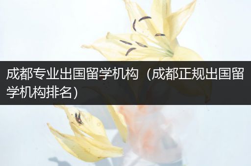 成都专业出国留学机构（成都正规出国留学机构排名）