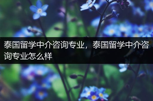 泰国留学中介咨询专业，泰国留学中介咨询专业怎么样