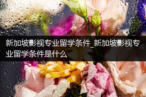 新加坡影视专业留学条件_新加坡影视专业留学条件是什么