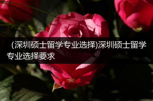 （深圳硕士留学专业选择)深圳硕士留学专业选择要求