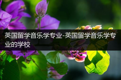 英国留学音乐学专业-英国留学音乐学专业的学校