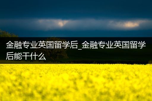 金融专业英国留学后_金融专业英国留学后能干什么