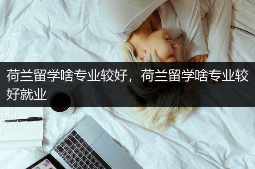 荷兰留学啥专业较好，荷兰留学啥专业较好就业