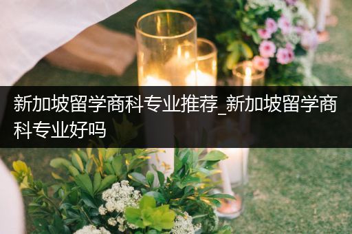 新加坡留学商科专业推荐_新加坡留学商科专业好吗