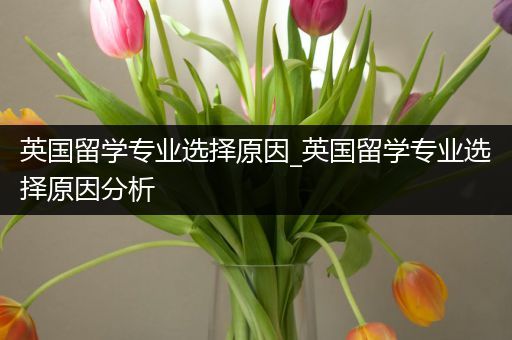 英国留学专业选择原因_英国留学专业选择原因分析