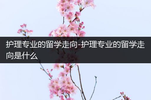 护理专业的留学走向-护理专业的留学走向是什么