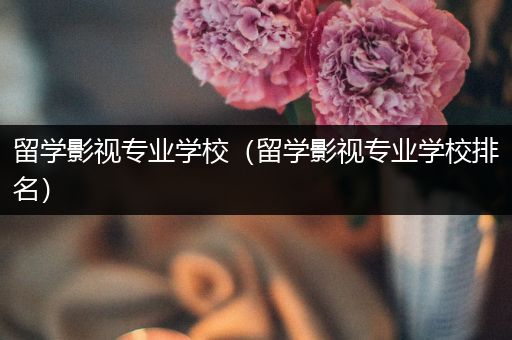 留学影视专业学校（留学影视专业学校排名）