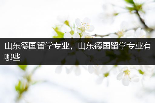 山东德国留学专业，山东德国留学专业有哪些