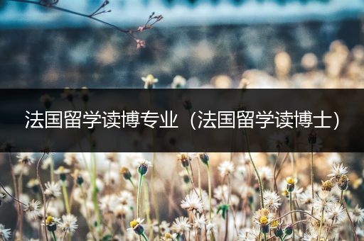 法国留学读博专业（法国留学读博士）