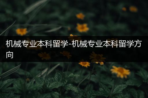 机械专业本科留学-机械专业本科留学方向