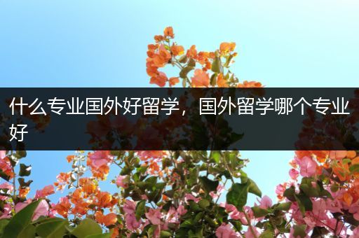 什么专业国外好留学，国外留学哪个专业好