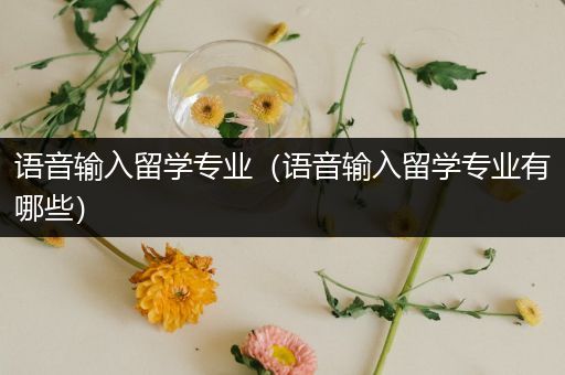 语音输入留学专业（语音输入留学专业有哪些）