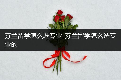 芬兰留学怎么选专业-芬兰留学怎么选专业的